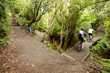 Tongariro River Mountain Biking